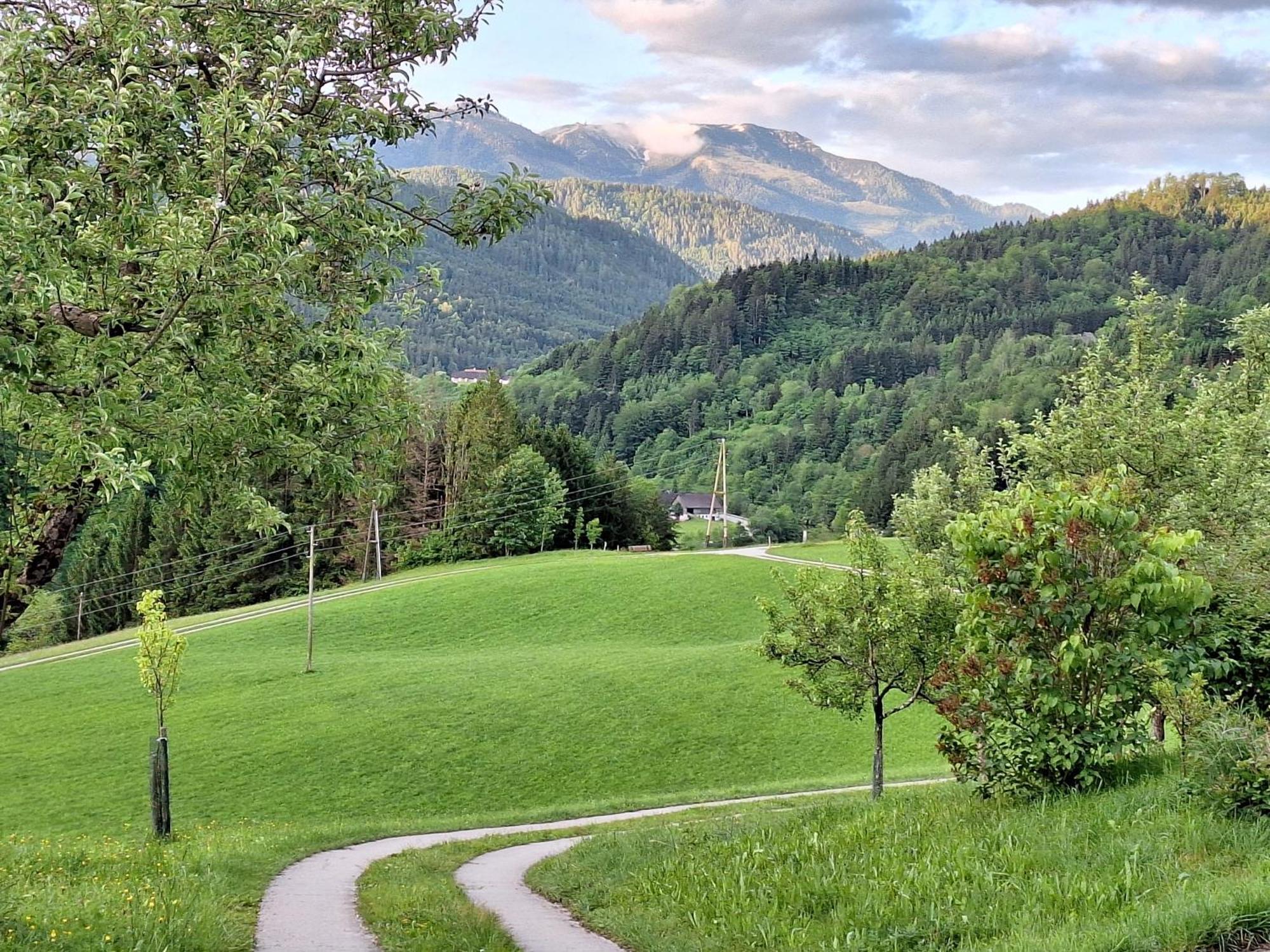 Biobauernhof Poidlbauer Villa Göstling an der Ybbs Dış mekan fotoğraf
